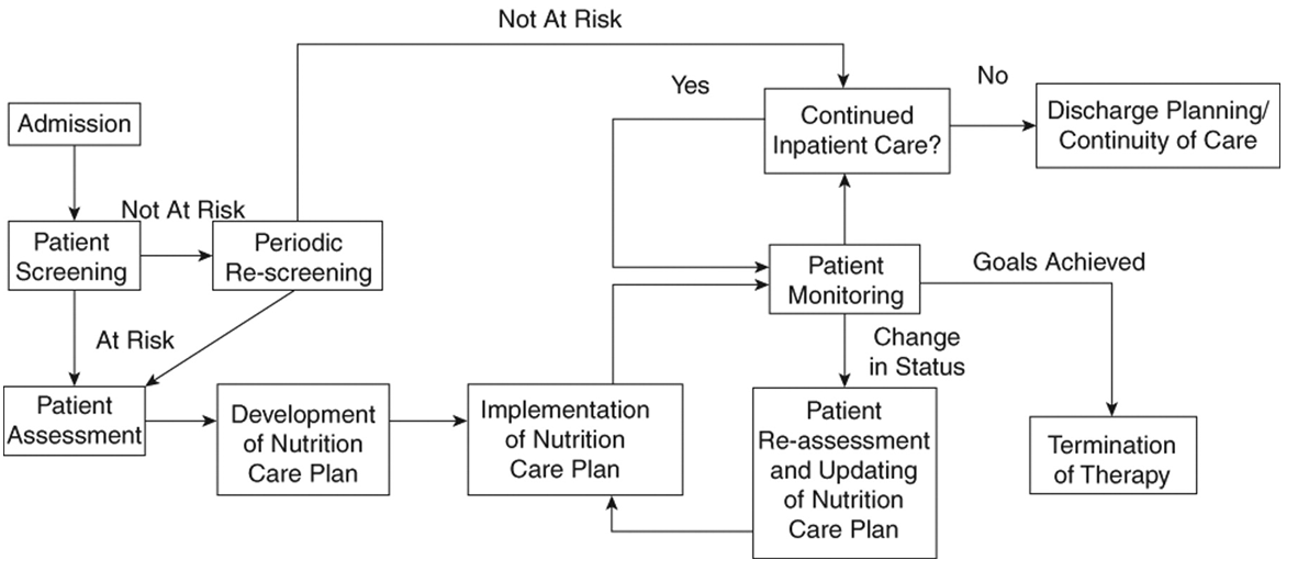 Nutrition Care Algorithm